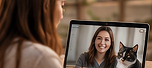 A video call home check with an adopter and her cat